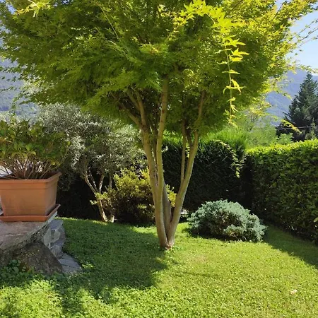 Tatil Evi Casa Il Glicine Casale Corte Cerro