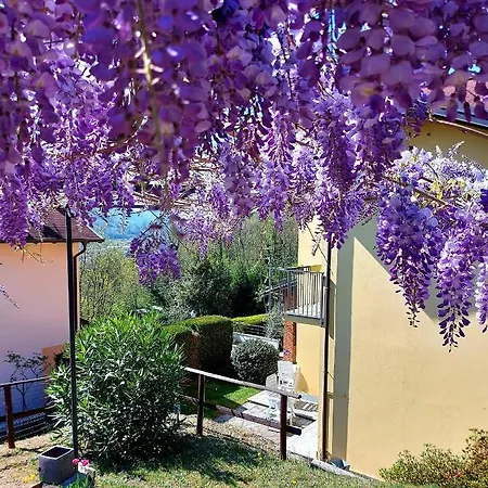 Dom wakacyjny Casa Il Glicine *