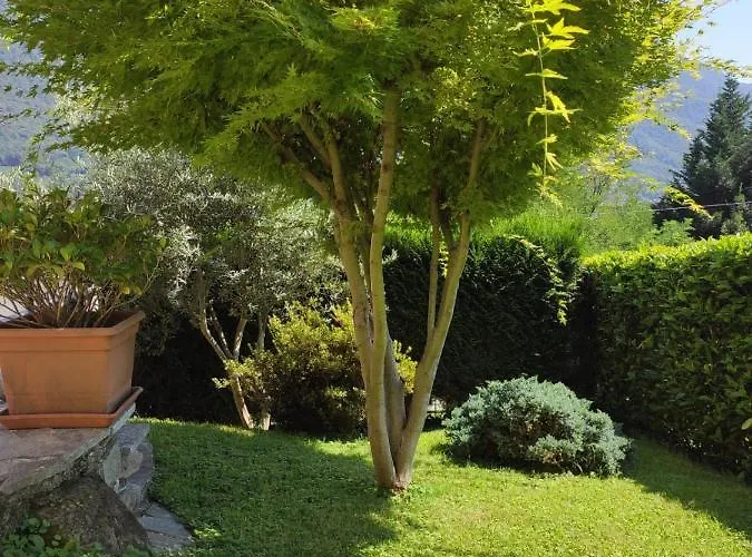 بيت للعطل Casa Il Glicine Casale Corte Cerro